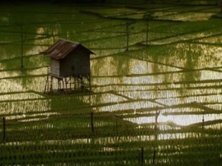 CAMPO- 03